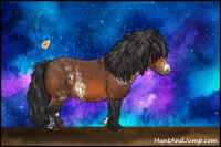 Horse Color:White Spotted Bay 