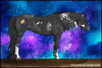 Horse Color:White Spotted Black