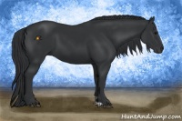 Horse Color:Black  and Black Frame 