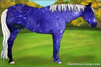 Horse Color:ERROR: UNKNOWN ANOMALY