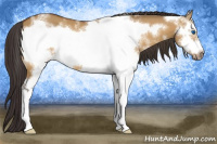 Horse Color:White Spotted Buckskin Dun Frame