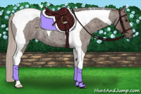 Horse Color:Silver Blue Roan Tobiano 