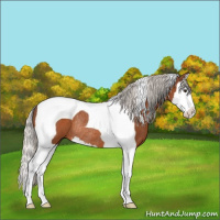 Horse Color:Silver Bay Splash Tobiano Rabicano