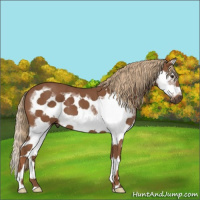 Horse Color:Chestnut Splash Frame 