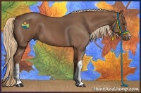 Horse Color:Red Roan 