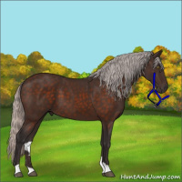 Horse Color:Silver Brown 