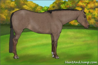 Horse Color:Liver Red Dun Brindle 