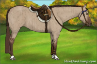 Horse Color:Liver Red Dun Brindle 