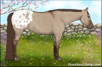Horse Color:Liver Red Dun Appaloosa Brindle