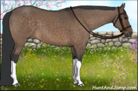 Horse Color:Brown Dun Brindle