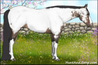 Horse Color:Brown Dun Near Fewspot Brindle 