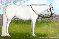 Horse Color:Perlino Dun Near Leopard Brindle 