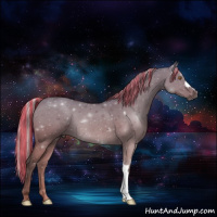 Horse Color:Painted Silver Grullo 