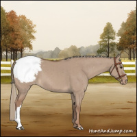 Horse Color:Red Dun Mushroom Appaloosa Brindle