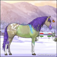 Horse Color:Watercolor Grullo Appaloosa 