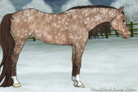 Horse Color:Liver Red Dun Blanket 