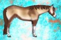Horse Color:Red Onyx 