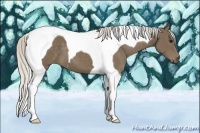 Horse Color:Silver Smoky Black Tobiano