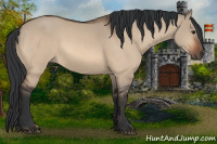 Horse Color:Bay Dun