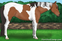 Horse Color:Bay Tobiano 