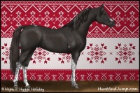 Horse Color:Liver Chestnut Tobiano Frame 