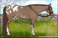 Horse Color:Liver Red Dun Blanket Brindle 