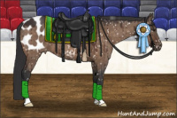 Horse Color:Brown Dun Appaloosa Brindle 