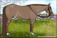 Horse Color:Liver Red Dun Varnish Brindle