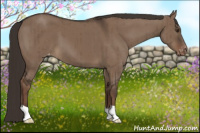 Horse Color:Liver Red Dun Appaloosa Brindle