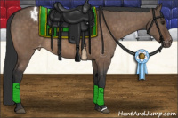 Horse Color:Brown Dun Appaloosa Brindle