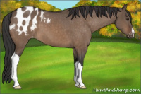 Horse Color:Brown Dun Blanket Brindle 