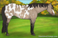 Horse Color:Brown Dun Near Leopard Brindle 