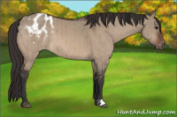 Horse Color:Bay Dun Varnish Brindle