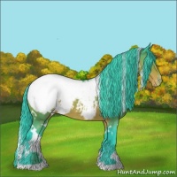 Horse Color:Watercolor White Spotted Buckskin Appaloosa Rabicano 