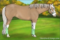 Horse Color:Palomino Roan Splash 