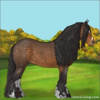 Horse Color:Buckskin Roan Sabino