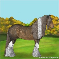 Horse Color:Chocolate Palomino Tobiano 
