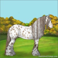 Horse Color:Chocolate Palomino Roan Dun Near Leopard Rabicano 