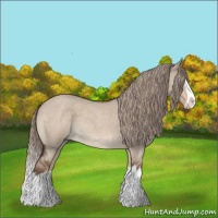 Horse Color:Liver Red Dun Roan Sabino Splash Rabicano 