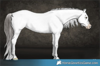 Horse Color:Liver Red Dun Snowcap Brindle 