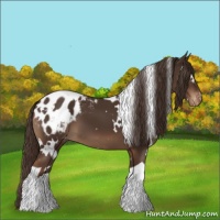Horse Color:White Spotted Liver Chestnut Tobiano Blanket 