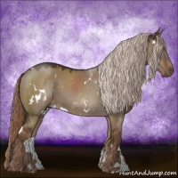 Horse Color:White Spotted Liver Red Dun