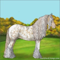 Horse Color:White Spotted Palomino Tobiano Appaloosa and Watercolor White Spotted Gold Cream Champagne Ice Tobiano