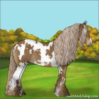 Horse Color:White Spotted Chocolate Palomino
