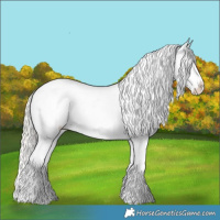 Horse Color:White Spotted Silver Bay Dun Appaloosa 