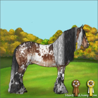 Horse Color:White Spotted Bay Dun and White Spotted Bay