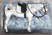 Horse Color:White Spotted Blue Roan Rabicano  and White Spotted Blue Roan Rabicano 