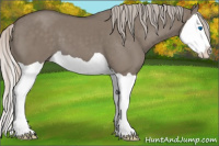 Horse Color:Silver Grullo Splash