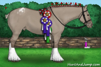 Horse Color:Silver Grullo Appaloosa