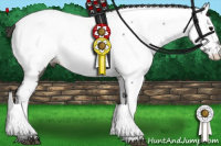 Horse Color:Grullo Appaloosa 
